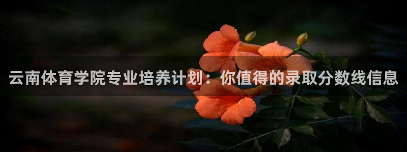oety欧亿