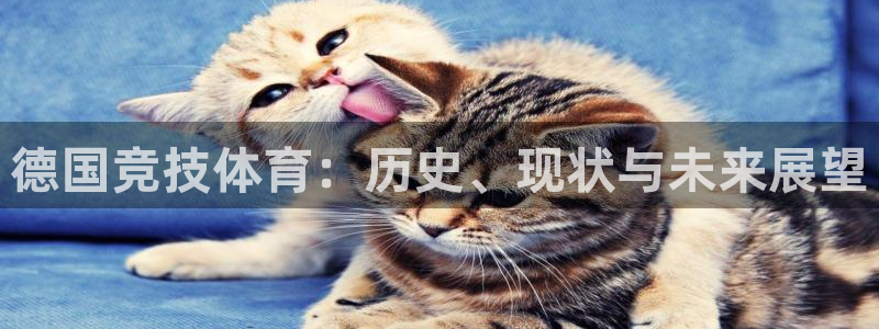 oety欧亿