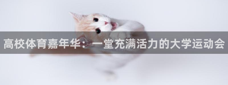 oety欧亿