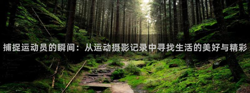 oety欧亿