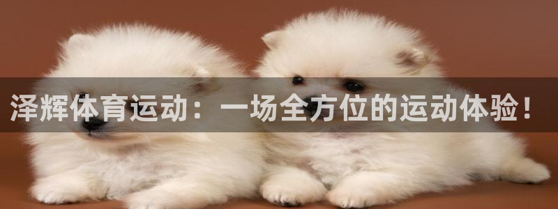 oety欧亿