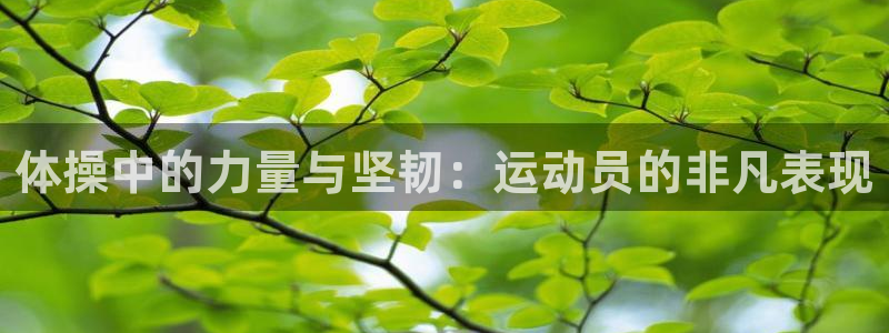 oety欧亿